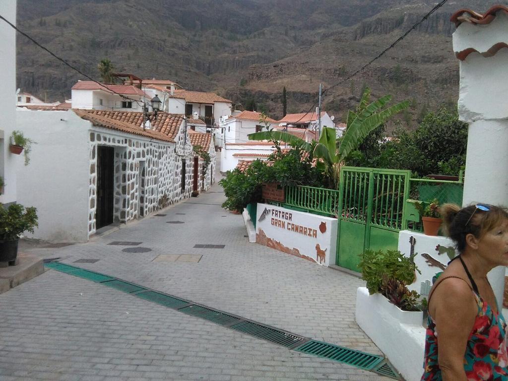 Casa Elisa Canarias Fátaga Εξωτερικό φωτογραφία